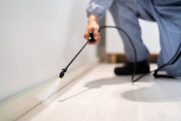 Licensed Ant Control service in Lake Mack-Forest Hills, FL - Show Me Pest Control