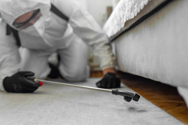 Professional Ant Control technician working in Lake Mack-Forest Hills, FL